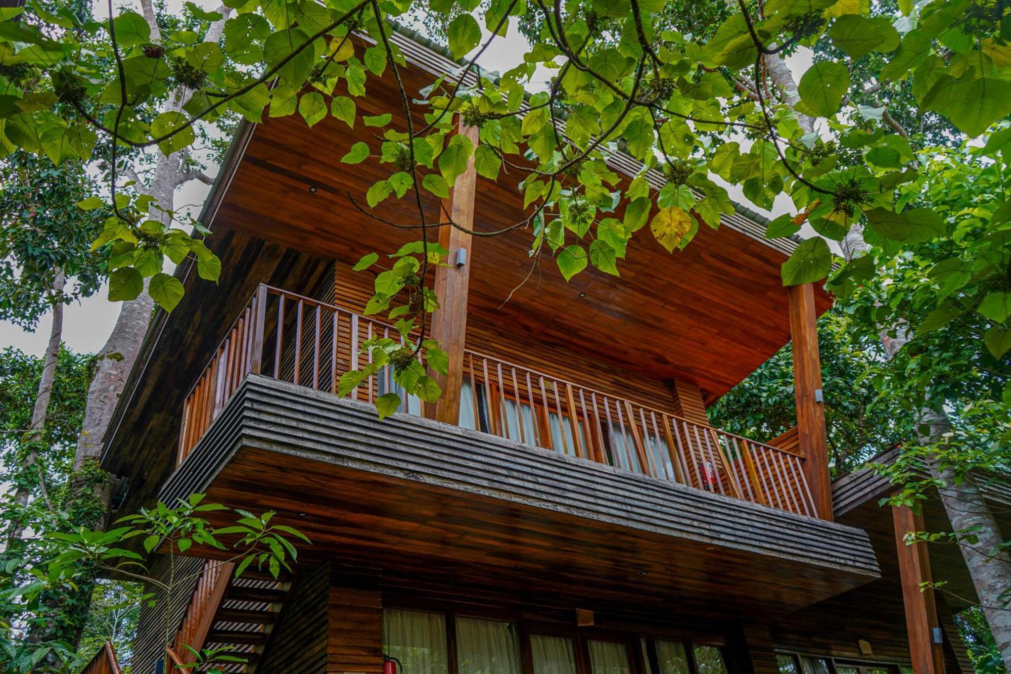 De Foret Elephant Beach Exterior foto