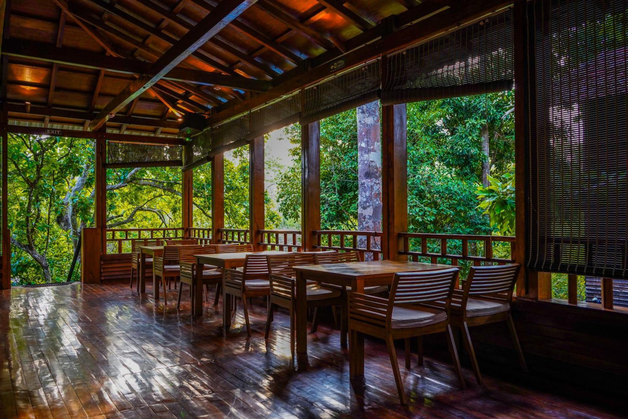 De Foret Elephant Beach Exterior foto